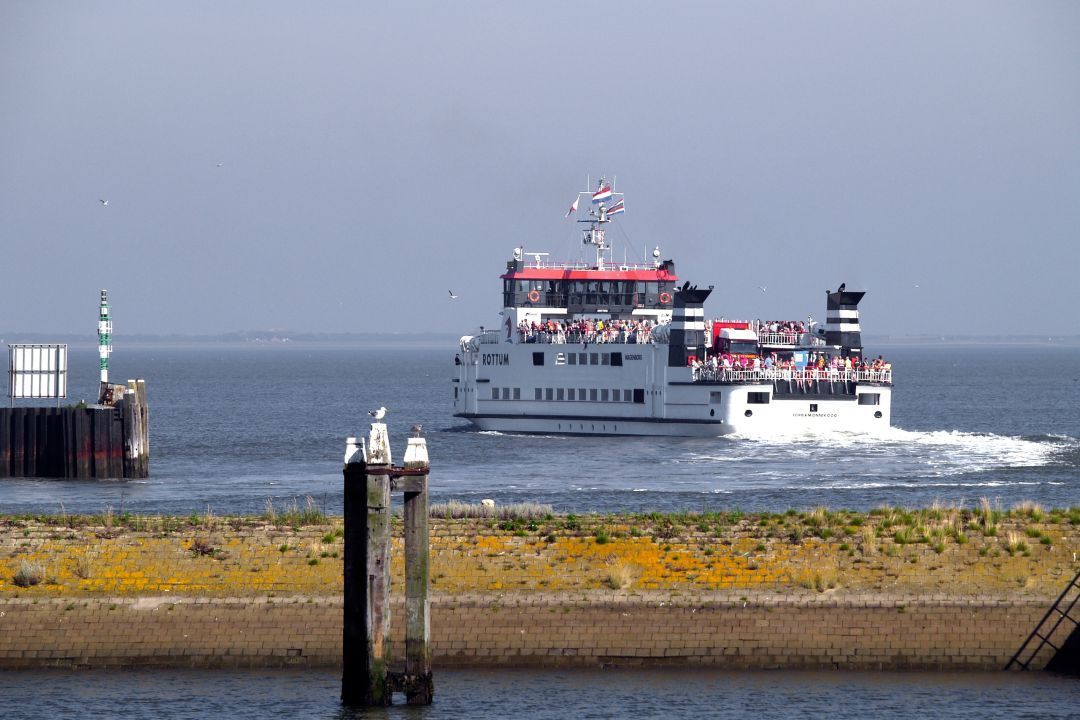 Vakantiehuisjes aan het Lauwersmeer