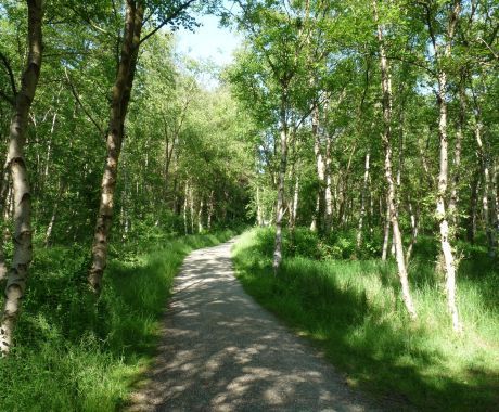 Geführte Wanderungen