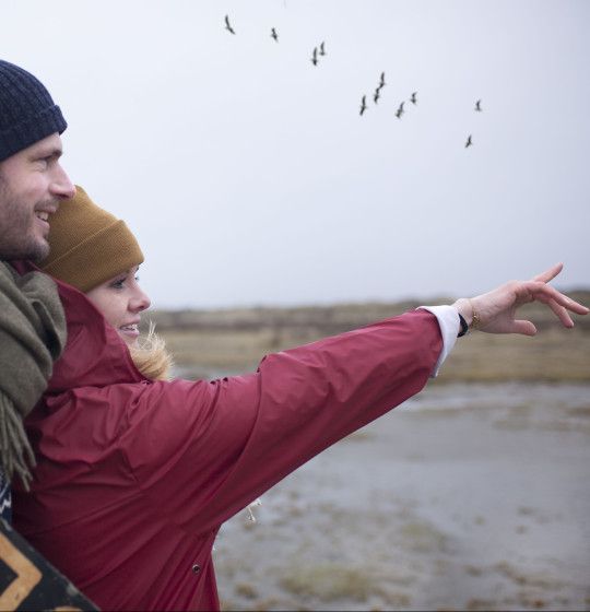 Vogelbeobachtung auf Schiermonnikoog