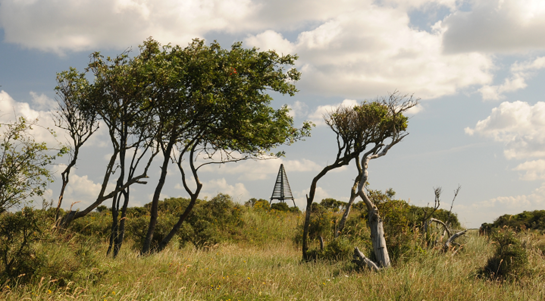 Vogelbeobachtung bei den Kobbeduinen auf insel Schiermonnikoog