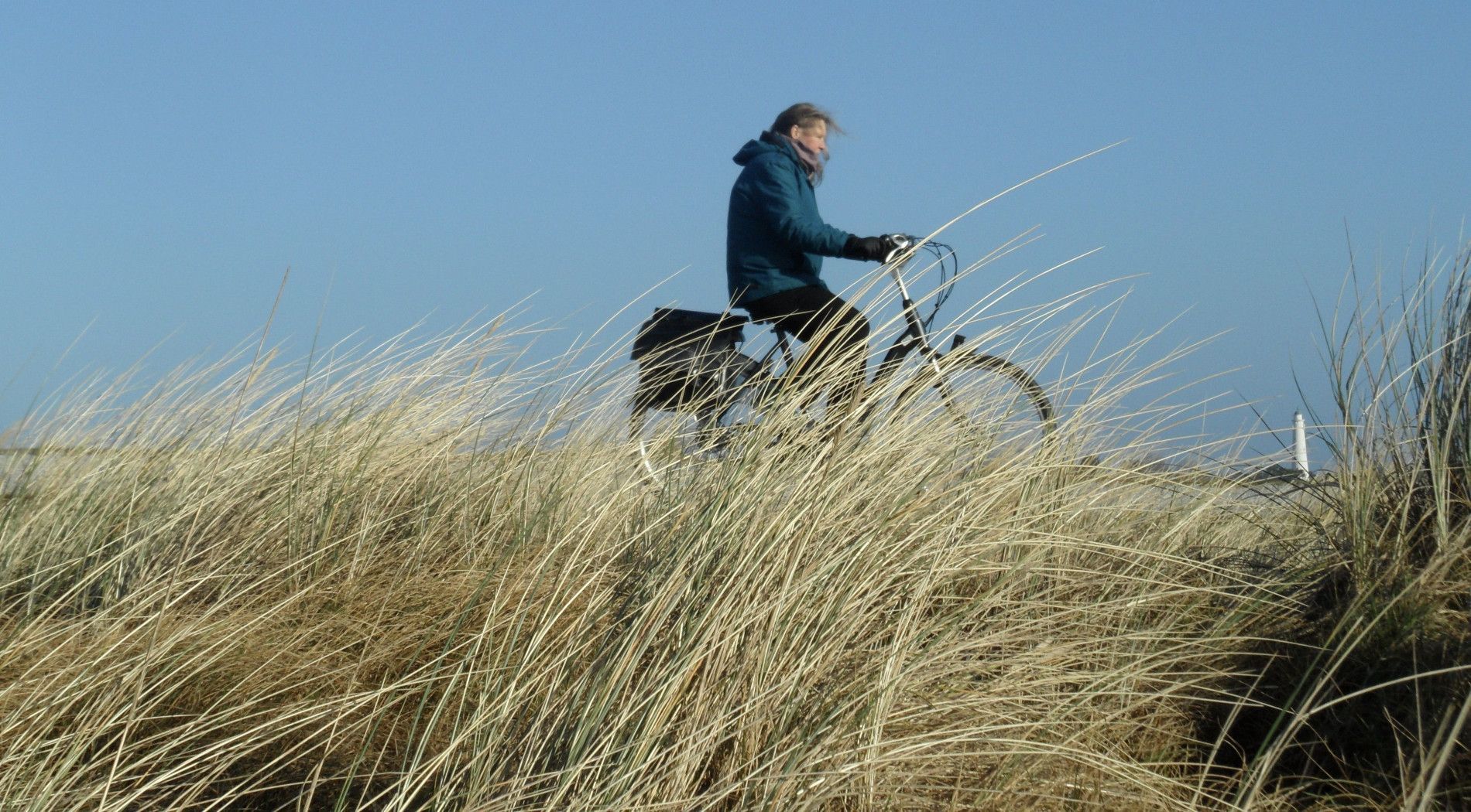 Radeln auf Schiermonnikoog