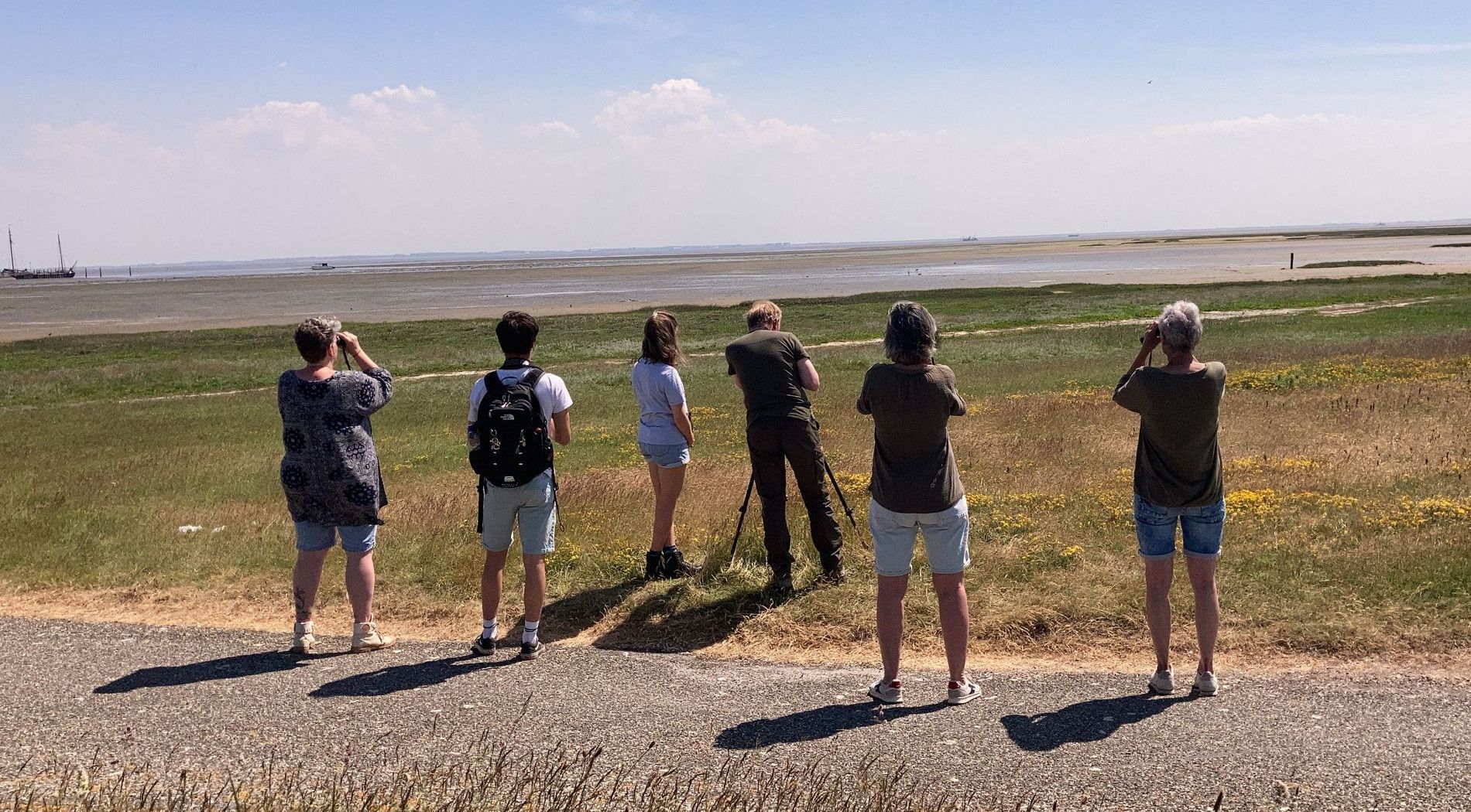 Vogelbeobachtung am Wattenmeer von Schiermonnikoog