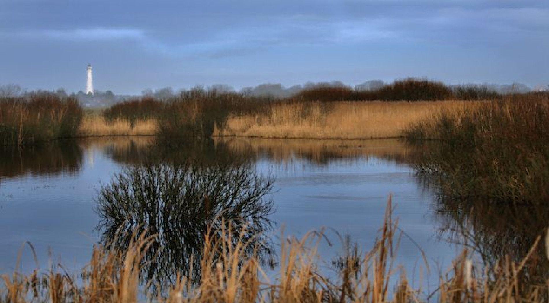 das Westerplas ist ein Vogel-Hotspot auf dem Schiermonnikoog