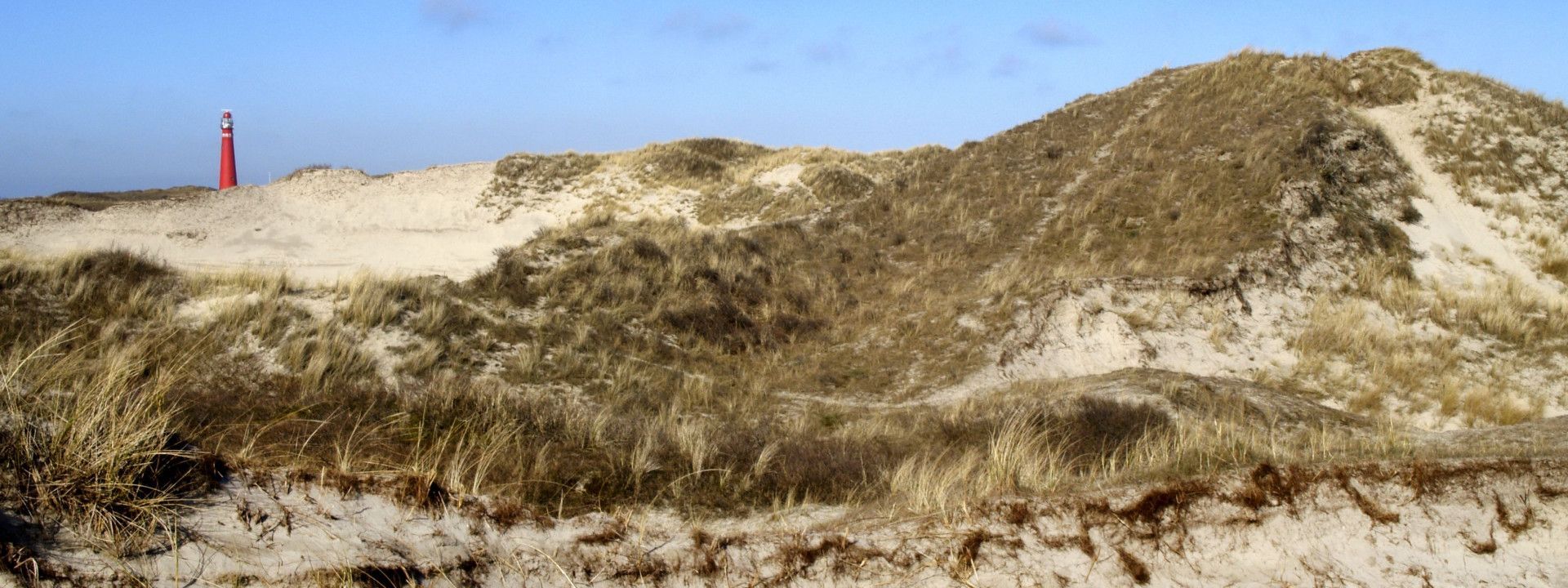 Schöne Dünen am Schiermonnikoog