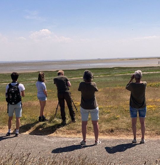 Geführte Vogelbeobachtung auf Schiermonnikoog