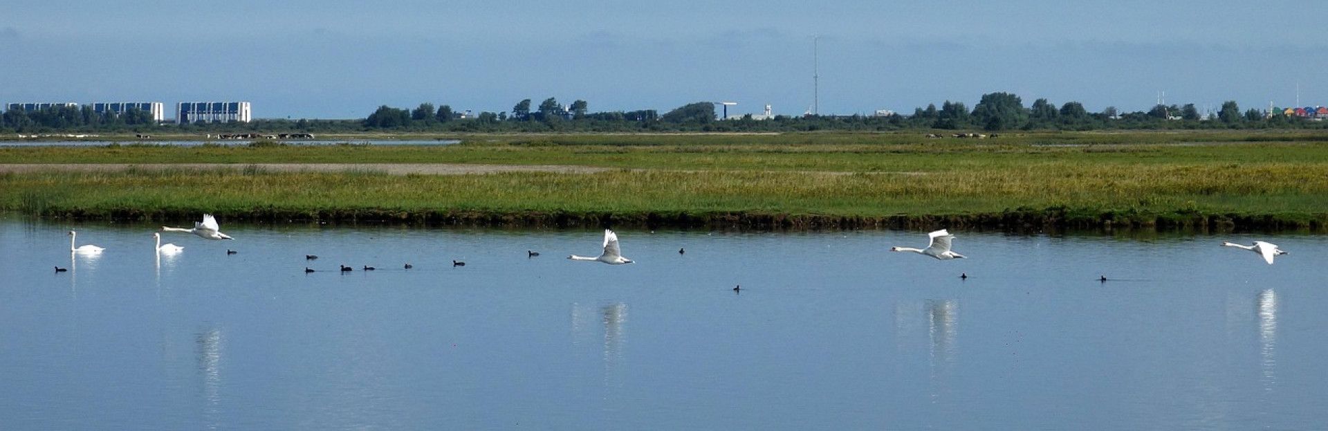 Lauwersmeer bei Lauwersoog